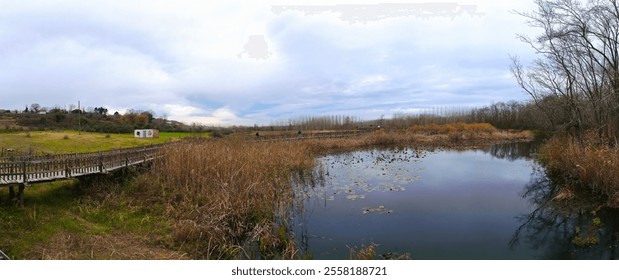 ADAPAZARI ACARLAR LONGOZU Tranquil Wooden Boardwalk Through a Peaceful Wetland. A serene wetland area, featuring a wooden boardwalk winding through the landscape. Sakarya Adapazari Turkiye Turkey  - Powered by Shutterstock