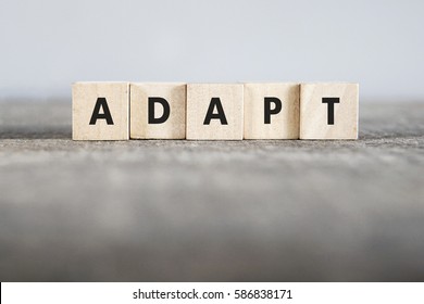 ADAPT word made with building blocks