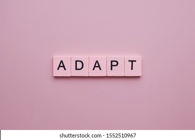 Adapt word wooden cubes on pink background