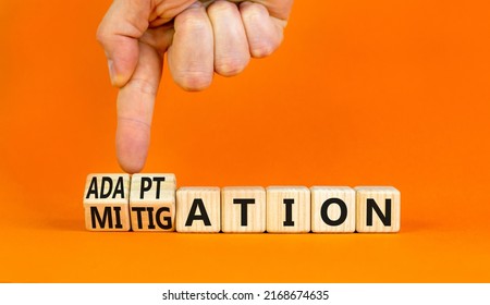 Adaptation or mitigation symbol. Businessman turns cubes and changes the concept word Mitigation to Adaptation. Beautiful orange background. Business adaptation or mitigation concept. Copy space. - Shutterstock ID 2168674635