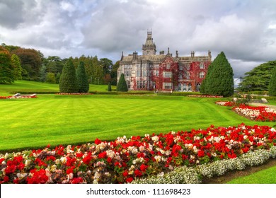 Adare Gardens And Castle In Red Ivy In Ireland