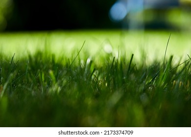 28,129 Lush green grass gardens farms Images, Stock Photos & Vectors ...