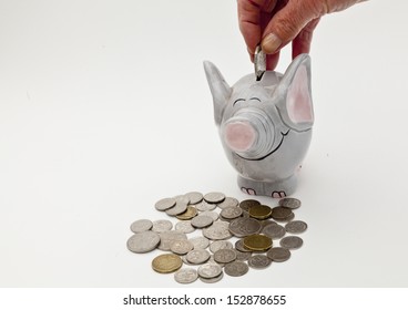 Adding Coins To Elephant Money Box