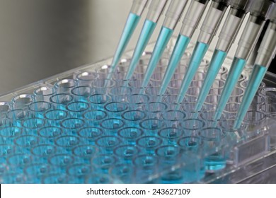 Adding Samples Inside A Biosafety Cabinet