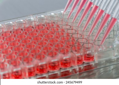 Adding Samples Inside A Biosafety Cabinet