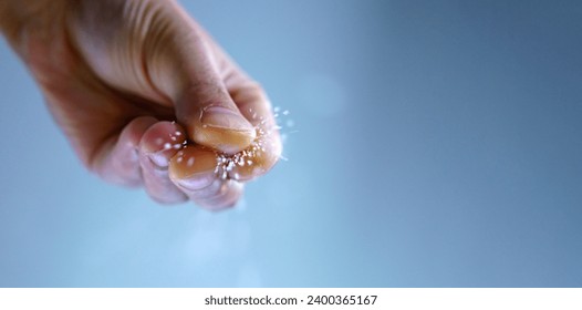 Adds salt, culinary concept, selective focus. Cooking Copy space