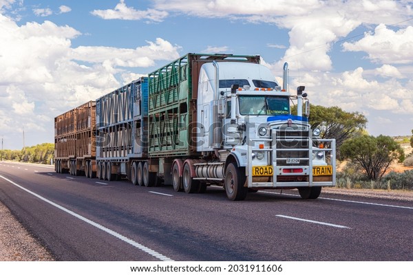 Adelaide, Australia - February 23, 2020: Road\
train on Stuart Highway. Australian over sized Truck passing on the\
long straight road. Long Vehicle carry goods over the fifth\
continent. Strong\
engine