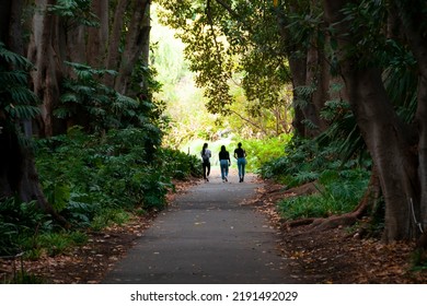 Adelaide Botanic Garden - Australia