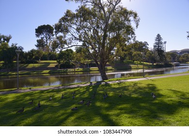 Adelaide Festival Centre & Torrens River