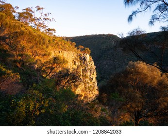 Adelaide Hills Bush
