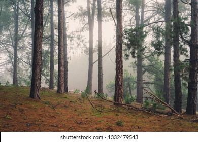 Adelaide Hills, South Australia