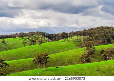 Adelaide Hills vista landscape in winter season, South Australia