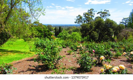 Adelaide/Australia- 2017: Carrick Hill In Adelaide, Australia