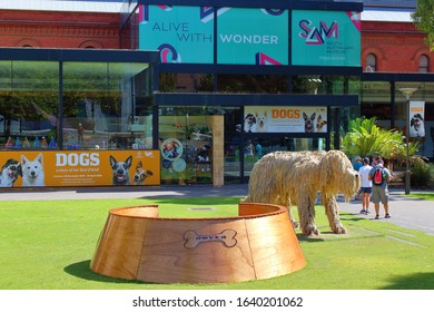 Adelaide/Australia- 2020: South Australian Museum In Adelaide