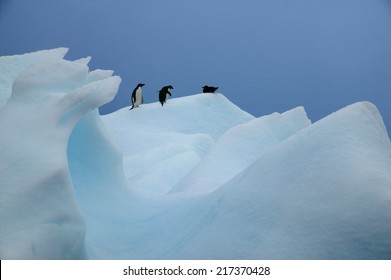 Adelie Penguins and Southern Giant Petrel, Paradise Island, Antarctica Stock Photo