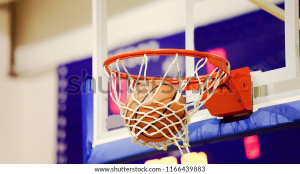 adidas basketball net