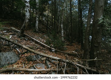 Adirondacks, NY, USA - June 30 2021: Mountains With Spring Water And Blue Sky Scene. Green Untouched Forest Landscape. Summertime In Adirondack Mountains. Upstate New York.