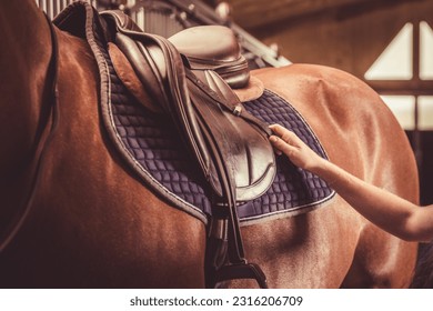 Adjusting saddle on the horse. Equestrian sport theme. - Powered by Shutterstock