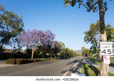 Adolfo Street With Purple Blue Jacaranda, Camarillo, Ventura County, CA