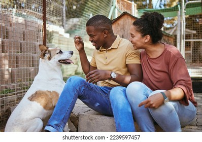 Adoption, couple and feeding dog at vet, bonding and having fun. Foster care, interracial love and happy man and woman giving pet food at animal shelter, playing or enjoying quality time together. - Powered by Shutterstock