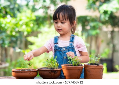 56,574 Asian kids garden Images, Stock Photos & Vectors | Shutterstock