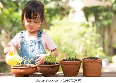 Adorable 3 Years Old Asian Little Girl Is Watering The Plant  In The Pots Outside The House, Concept Of Plant Growing Learning Activity For Preschool Kid And Child Education For The Tree In Nature