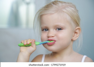 Adorable 3 Years Old Girl Brushing Stock Photo 1799271919 