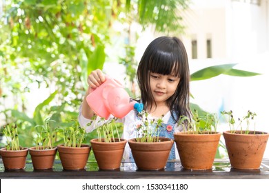 Adorable 4 Years Old Asian Little Girl Is Watering The Plant  In The Pots In The Garden Outside The House, Concept Of Plant Growing Learning Activity For Preschool Kid. And Child Education Of Nature