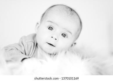 Adorable 5th month old Baby girl infant on a bed on her belly with head up looking towards camera with her big eyes. Natural window light.