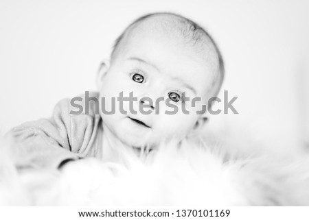 Adorable 5th month old Baby girl infant on a bed on her belly with head up looking towards camera with her big eyes. Natural window light.