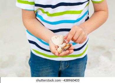 Adorable Active Little Kid Boy Having Fun On Naples Beach, Florida. Happy Cute Child Collecting Shells. Closeup On Hands