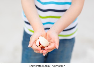 Adorable Active Little Kid Boy Having Fun On Naples Beach, Florida. Happy Cute Child Collecting Shells. Closeup On Hands