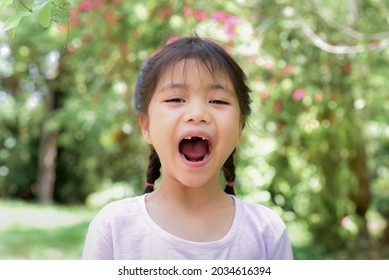 Adorable asian children girl Braids and the first milk tooth is broken and the first permanent is tooth is growing. funny faces are smiling and laughing , bright and cute in the garden.