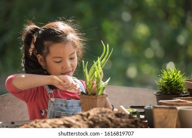 Adorable Asian Little Girl Is Planting Spring Flowers Tree In Pots In Garden Outside House, Child Education Of Nature. Caring For New Life. Earth Day Holiday Concept. World Environment Day. Ecology.