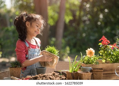 Adorable Asian Little Girl Is Planting Spring Flowers Tree In Pots In Garden Outside House, Child Education Of Nature. Caring For New Life. Earth Day Holiday Concept. World Environment Day. Ecology.