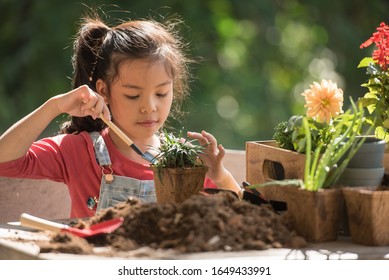 adorable asian little girl is planting spring flowers tree in pots in garden outside house, child education of nature. caring for new life. earth day holiday concept. world environment day. ecology. - Powered by Shutterstock