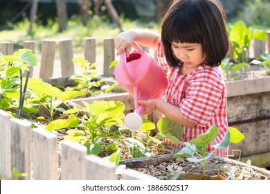 An adorable asian little girl watering plants in the garden. Montessori Practical Life skill - Caring for a Plant, Homeschool, Child development, Outdoors activity, Sustainable,  Alternative Education
