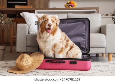 Adorable Australian Shepherd dog with suitcase and wicker hat sitting at home - Powered by Shutterstock