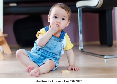 Adorable baby boy sitting on the ground at home biting biscuit or crispy butter toast. Little kid eating snack by himself.baby led weaning.mixed race Asian-German child 10-11 months old. - Powered by Shutterstock