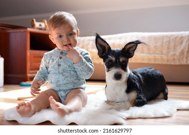 Adorable Baby And Cute Dog On Faux Fur Rug At Home