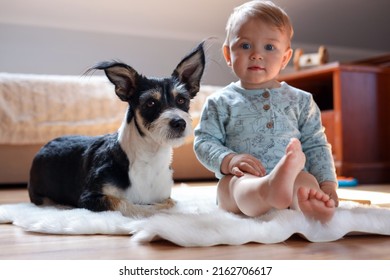 Adorable Baby And Cute Dog On Faux Fur Rug At Home