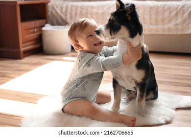 Adorable Baby And Cute Dog On Faux Fur Rug At Home