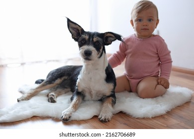 Adorable Baby And Cute Dog On Faux Fur Rug Indoors