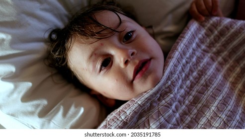 Adorable Baby Infant Boy Under Bed Blanket Awake At Night Before Sleep