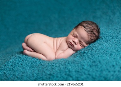 Adorable Baby Sleeping Curled Up On A Blanket With Butt Up In The Air