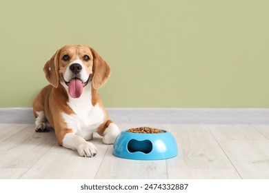 Adorable Beagle dog lying with bowl of dry food near green wall at home - Powered by Shutterstock