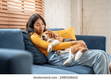 Adorable Beagle dog puppy sleeping on young female owner's shoulder. Attractive woman spend leisure time and petting on her pet animal that lying down with gentle and happiness in living room at home.