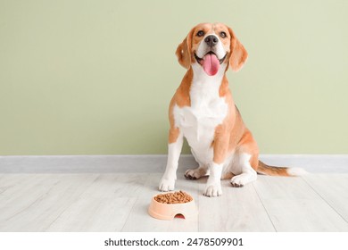 Adorable Beagle dog sitting with bowl of dry food near green wall at home - Powered by Shutterstock