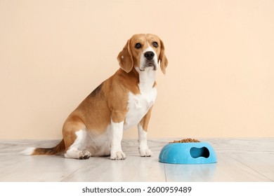 Adorable Beagle dog sitting with bowl of dry food near beige wall at home - Powered by Shutterstock - Get 15% off with code: PIKWIZARD15