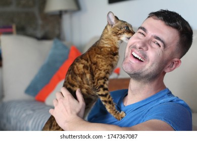 Adorable Bengal Cat Licking Owner's Face 